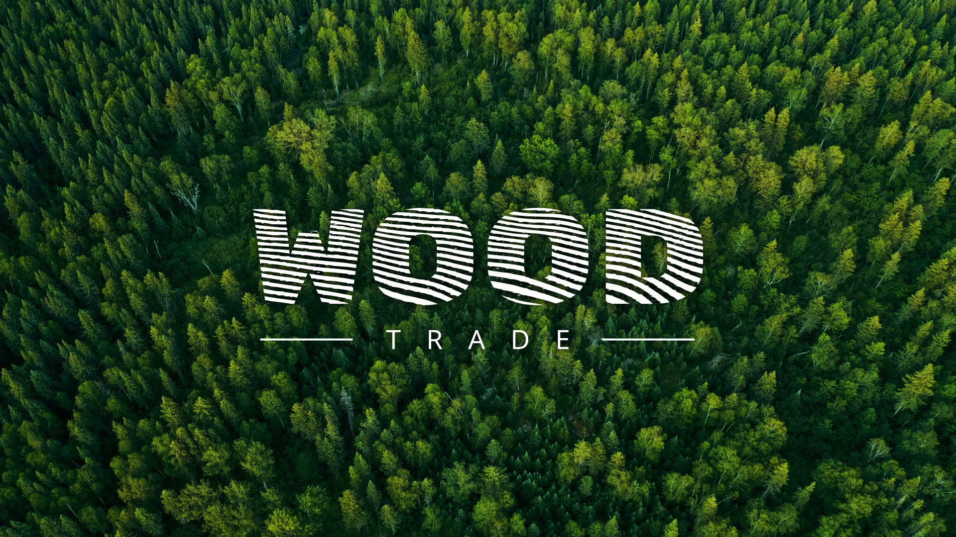 Разработка интернет-магазина компании «Wood Trade» в Златоусте